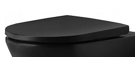Сиденье для унитаза Duravit D-Neo 0021691394, антрацит матовый
